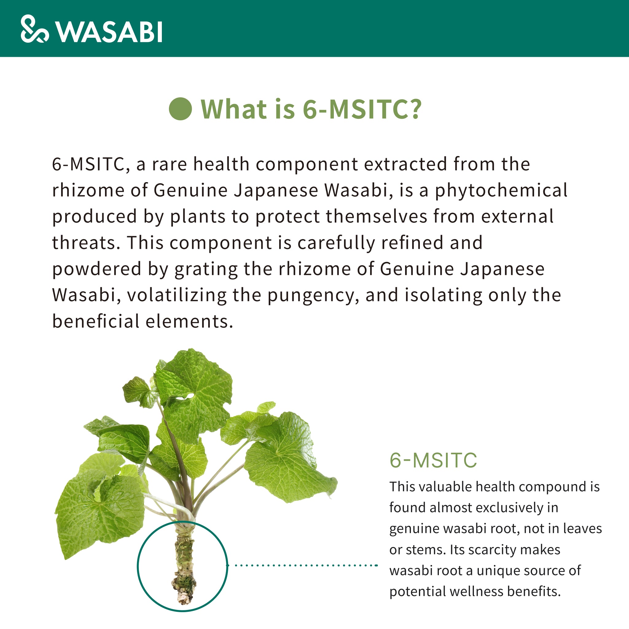 &WASABI 30 Capsules