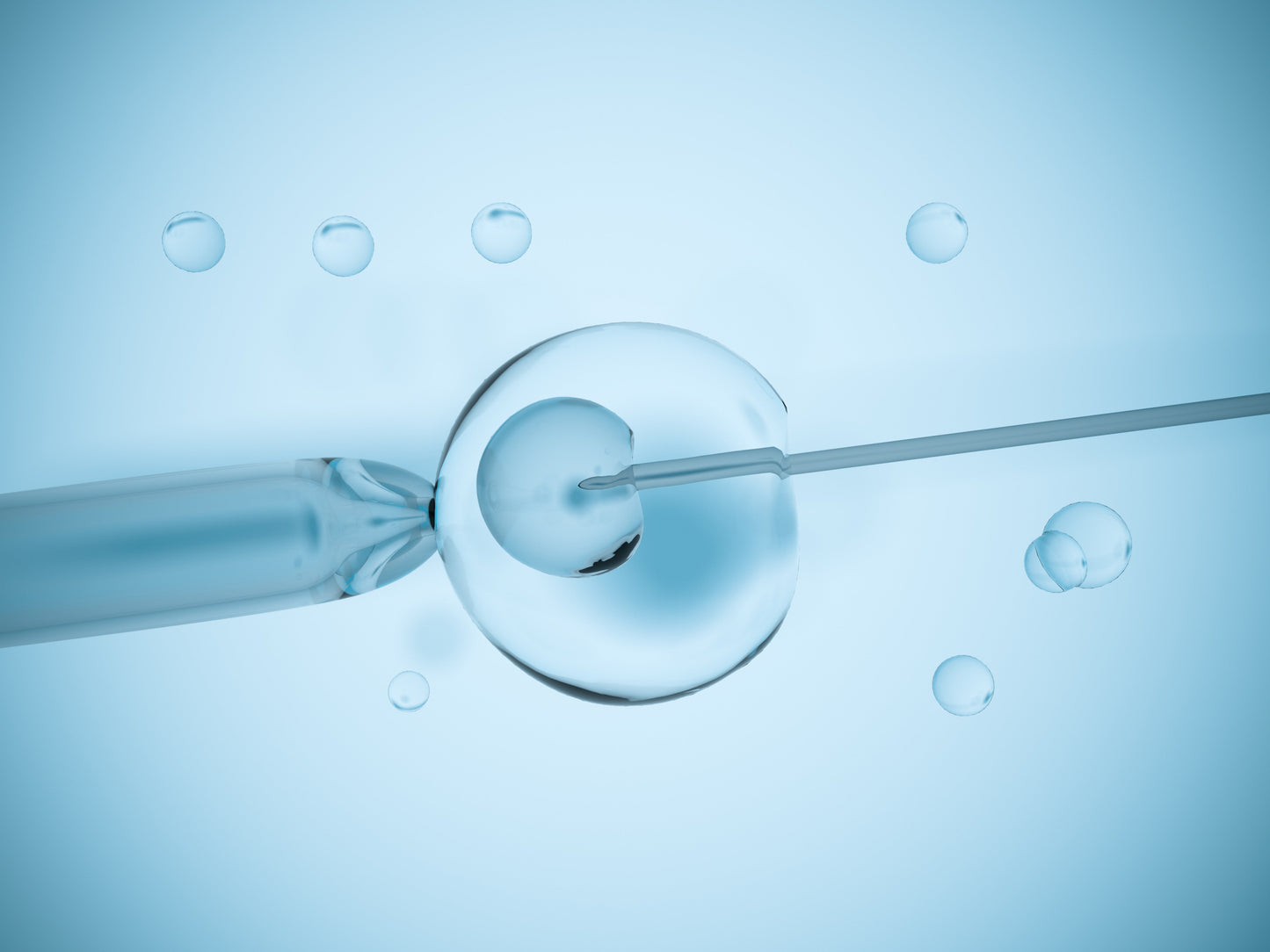 Can NMN Improve Oocyte Quality? Current Evidence in Fertility Care