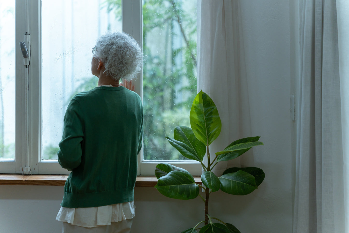 Hexaraphane/6-MSITC and Memory in Older Adults: Evidence From a Double-Blind Randomized Controlled Trial