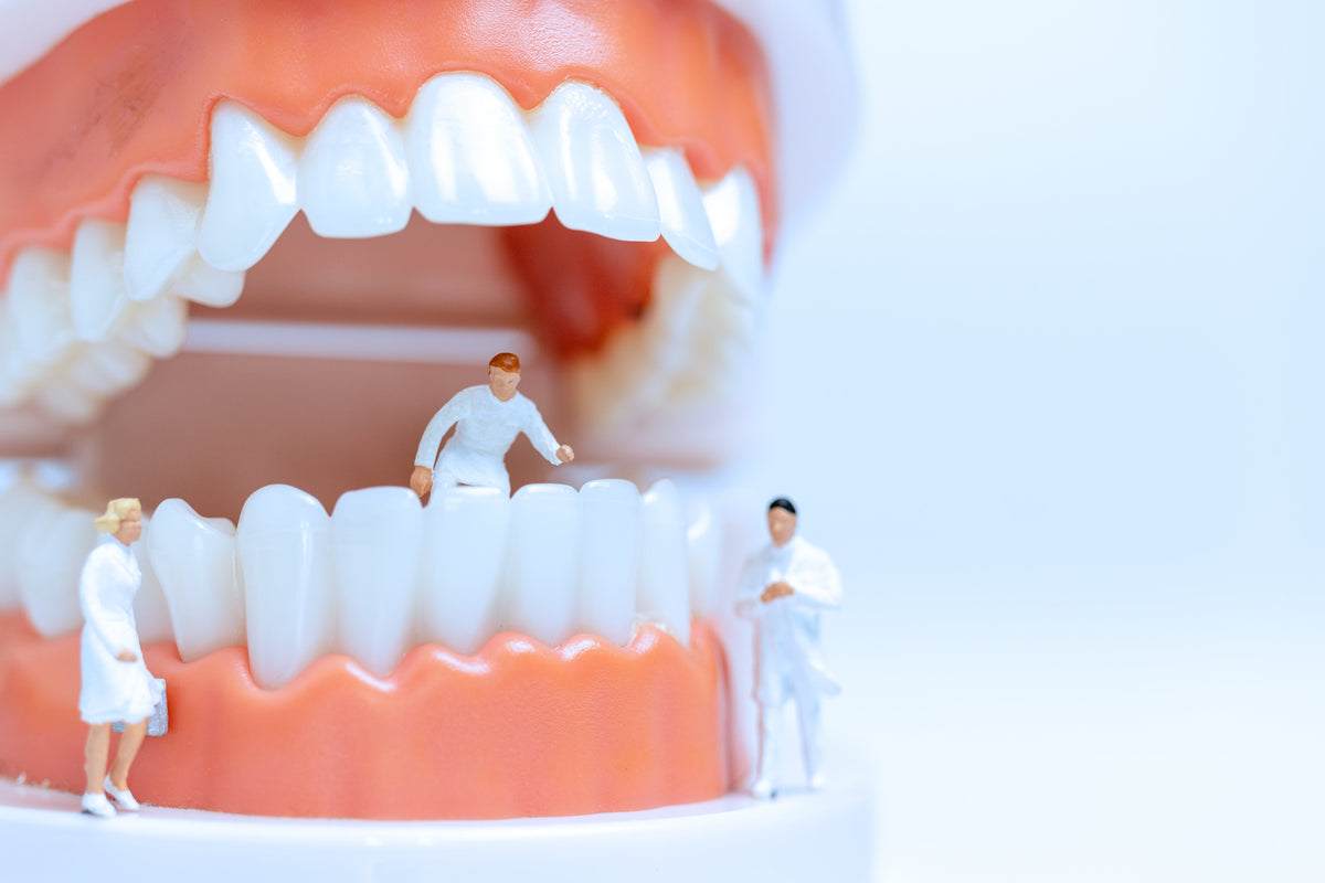Can Wasabi-Derived Hexaraphane Regenerate Dentin in Sensitive Teeth? A Novel TRPA1-Independent Mechanism